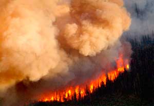 S17_RefamingCaliforniaWildfires1 S17_RefamingCaliforniaWildfires1