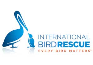 S6_EveryBirdMatters2 S6_EveryBirdMatters2