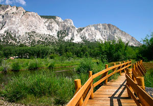 bridging-the-divide