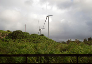 Waimeai wind farm Turbines along the trail: not for everyone.