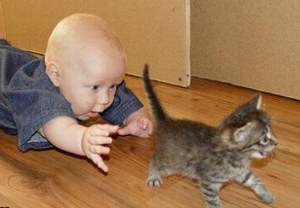 from funnyandhappy.com from funnyandhappy.com
