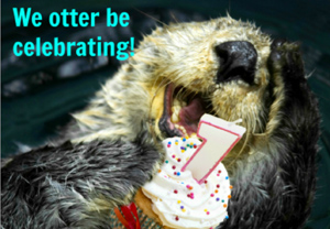 otter-be-blog