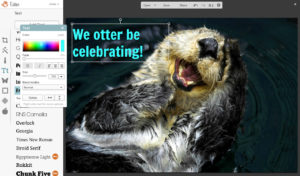 otter be celebrating final text picmonkey tutorial