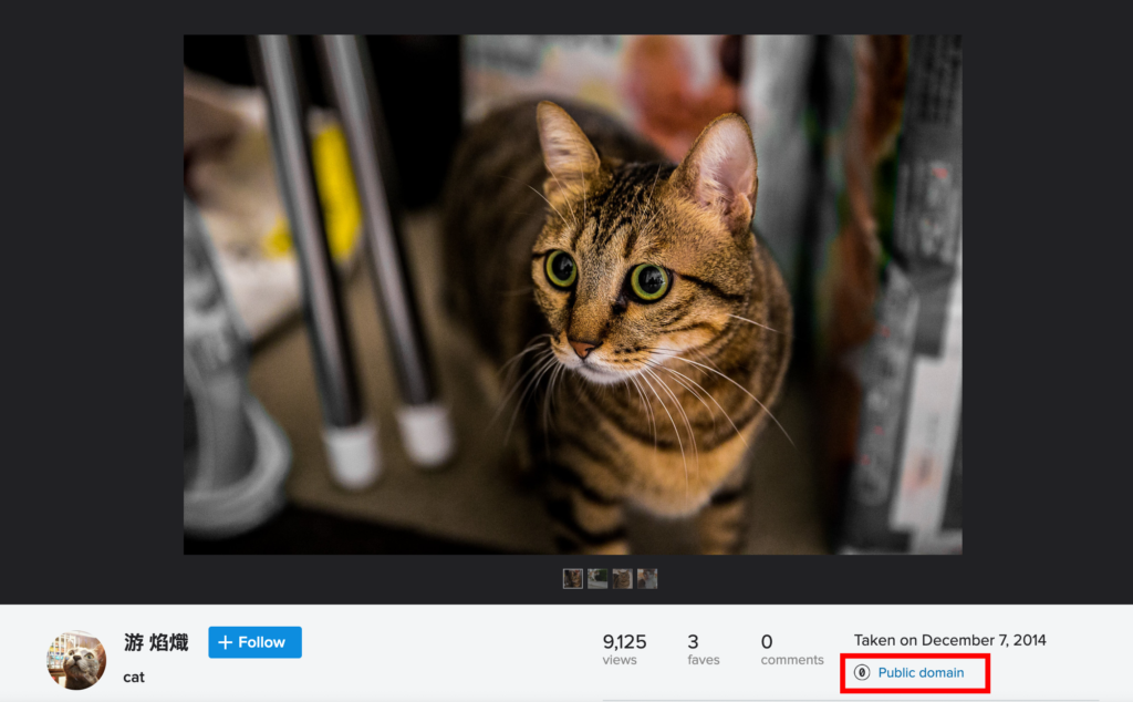 A screenshot of a Flickr webpage for an image of a cat. In the lower right hand corner the license name and logo is highlighted in a red box for emphasis.