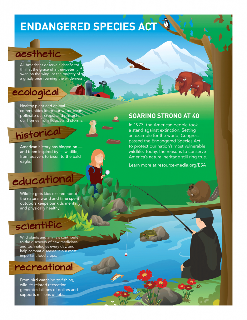 Endangered Species Act: Soaring high at 40 - Resource Media