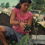 rain-gardens-girl-planting