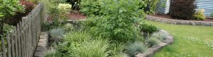 rain-gardens-resources