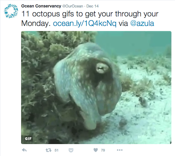 Ocean Conservancy Octopus Tweet