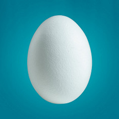 Twitter Egg