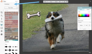 picmonkey tutorial dog image merge2