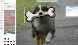 picmonkey tutorial image merge dog4