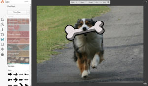 picmonkey tutorial image merge dog5
