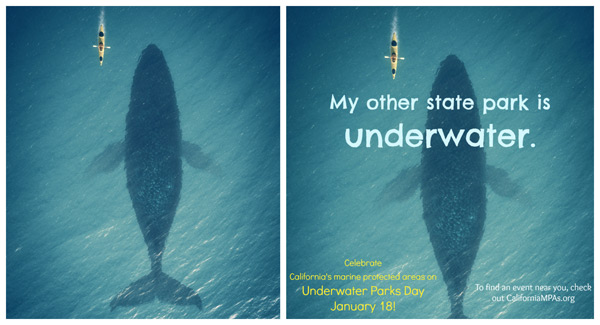my other state park is underwater whale meme