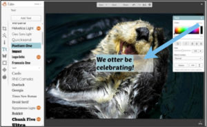 otter be celebrating picmonkey tutorial