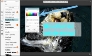 otter be celebrating colors picmonkey tutorial