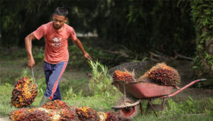 supply chain communications report wheelbarrow photo