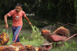 supply chain communications report wheelbarrow photo