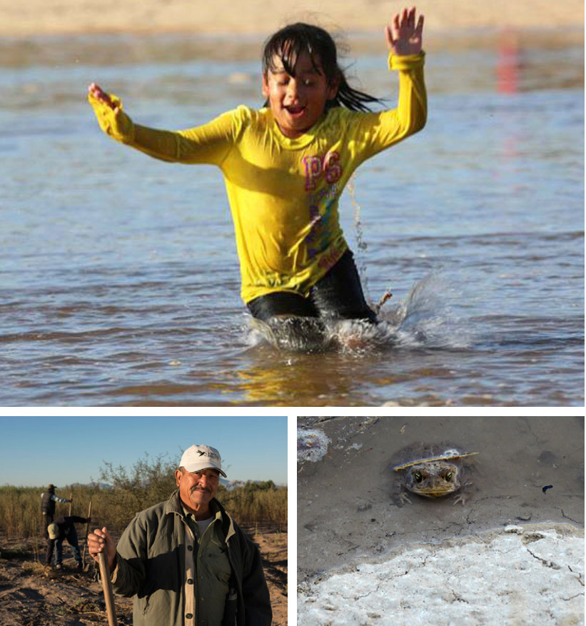 Top: The Nature Conservancy Left: Bill Hatcher/Sonoran Institute Right: The Nature Conservancy