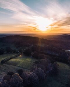 green trees on mountain during sunset